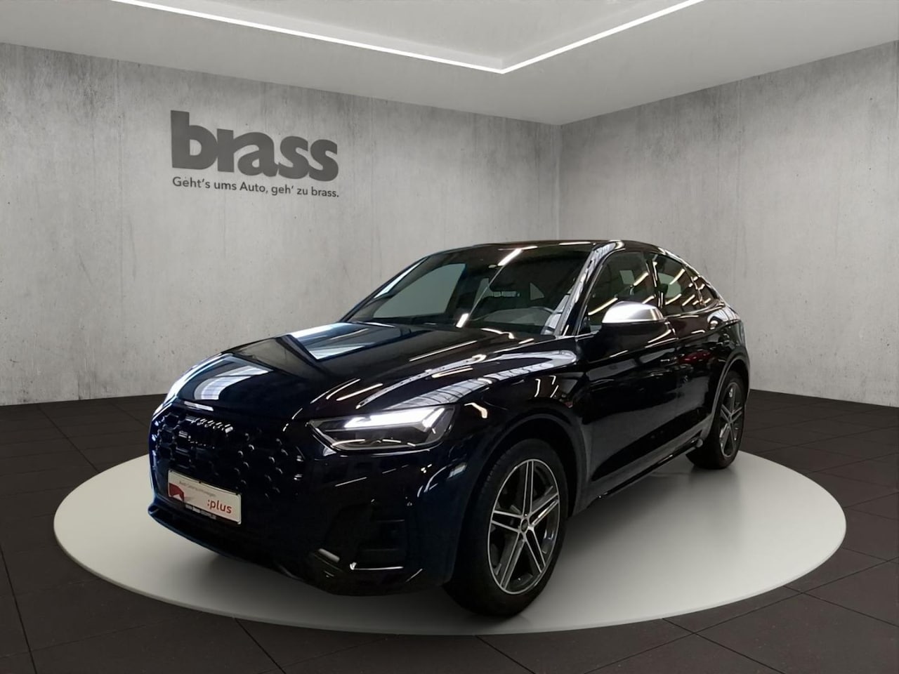 Audi SQ5 occasion