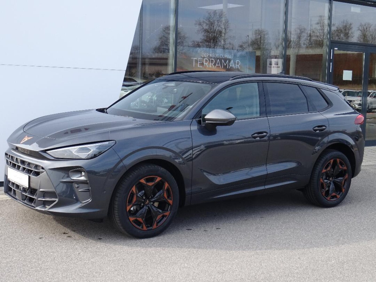 CUPRA Terramar – Bild 2