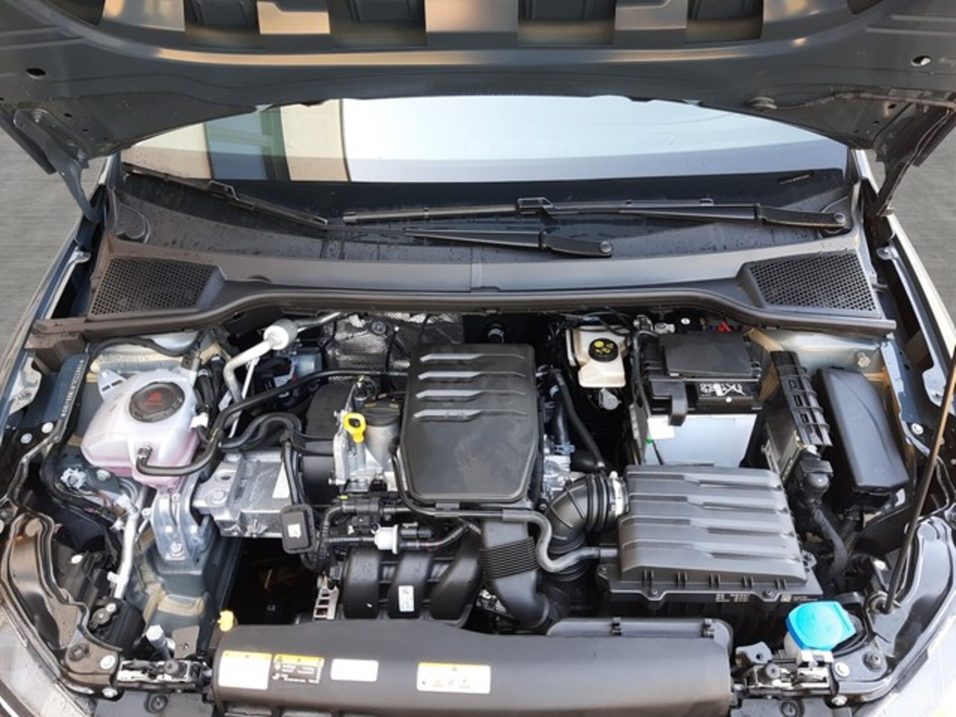 SEAT Ibiza Reference
