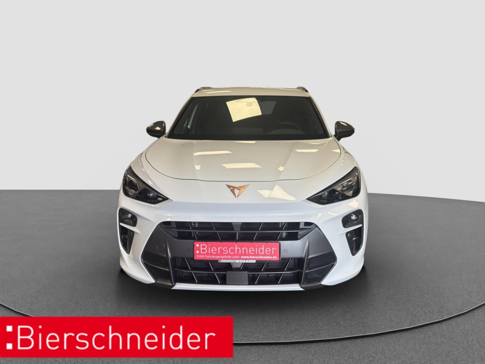 CUPRA Terramar – Bild 3