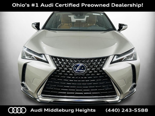 2020 Lexus UX 250h