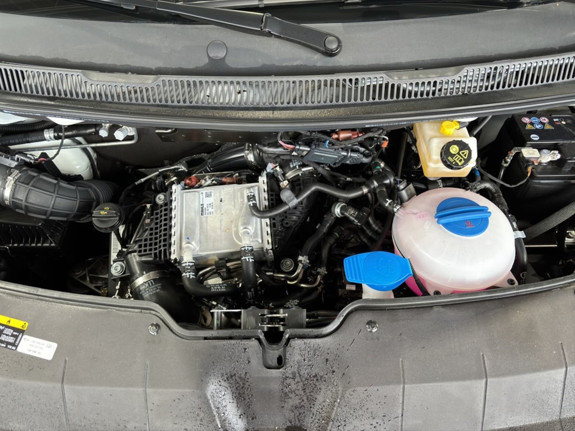 Volkswagen T6.1 Transporter Kasten kurzer Radstand