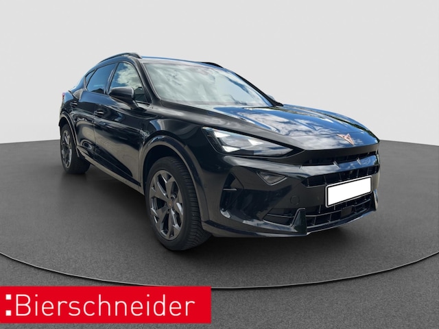Bild des Autos 13
