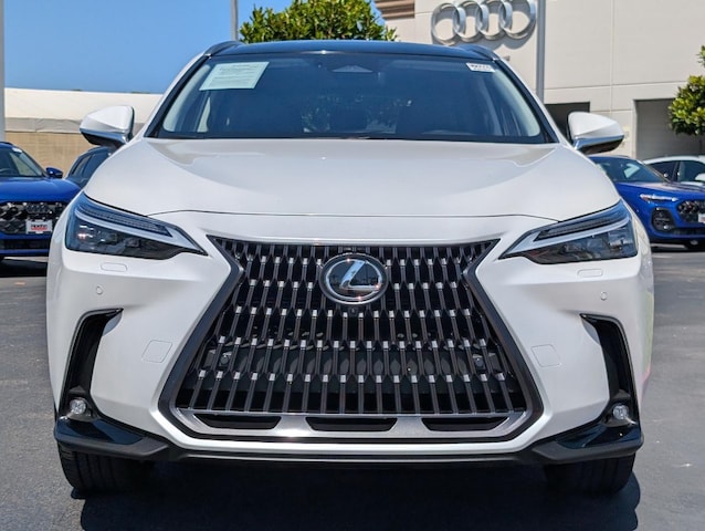 2025 Lexus