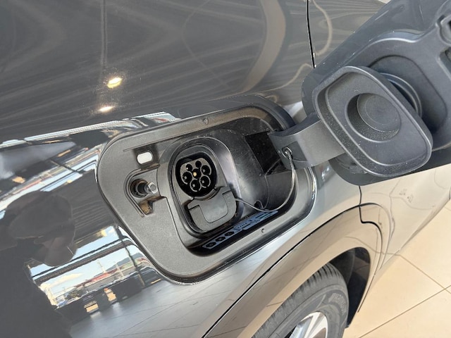 Bild des Autos 14