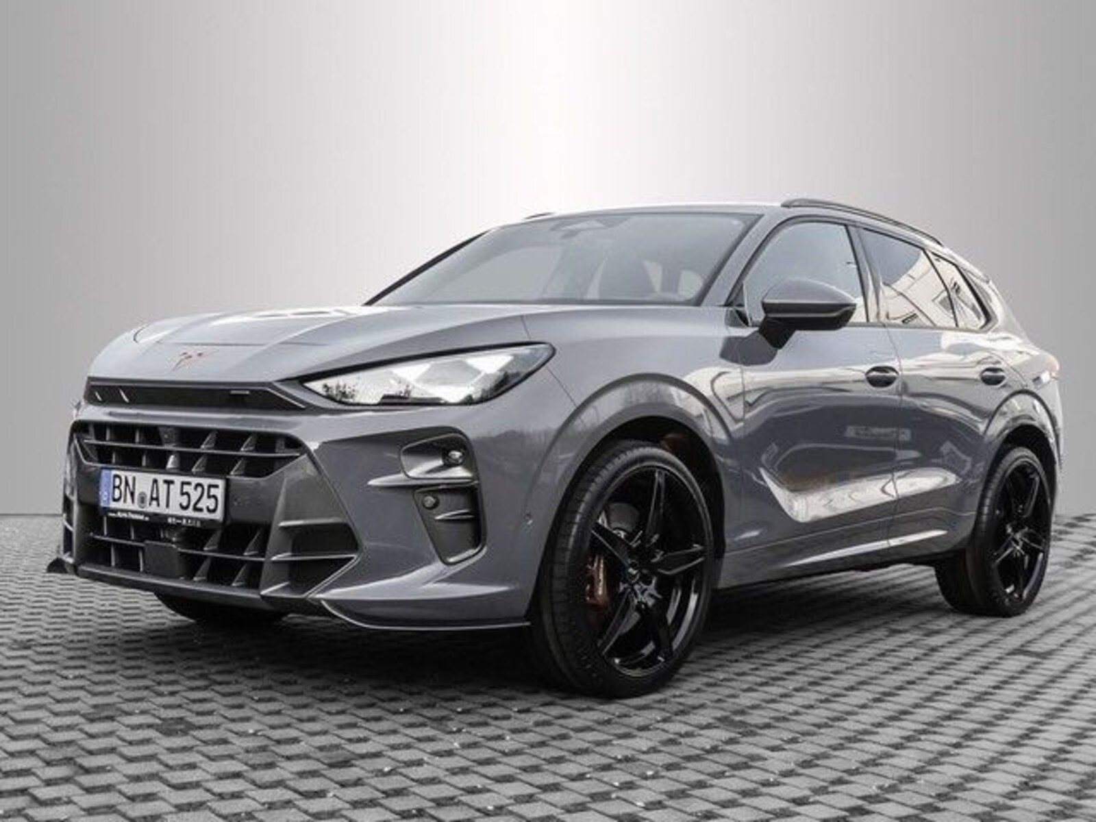 CUPRA Terramar – Bild 3
