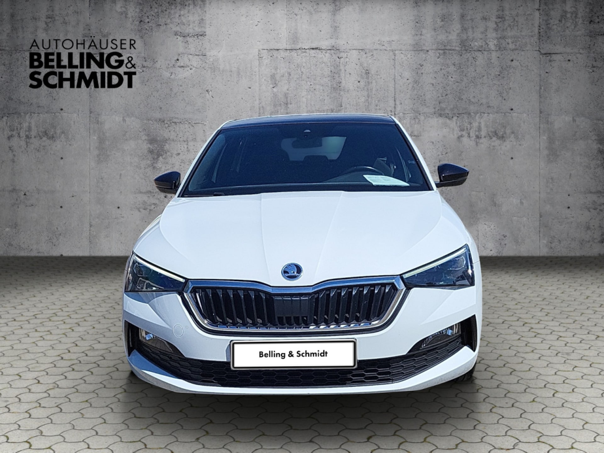 Skoda Scala Style