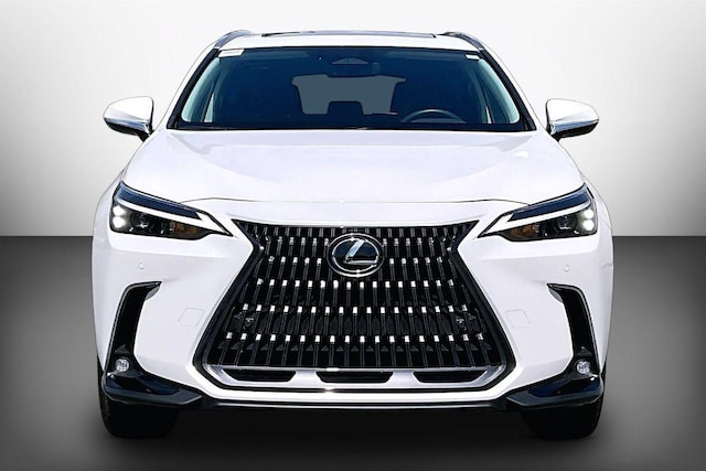 2025 Lexus NX 250