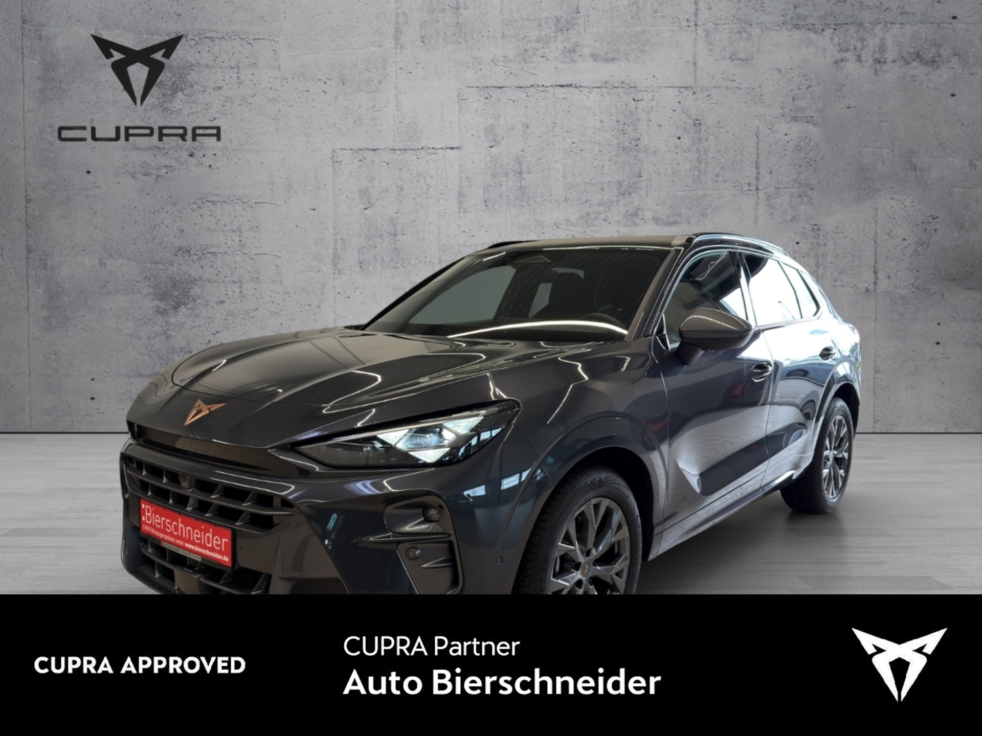 Cupra Terramar — CUPRA Terramar 2.0 TSI 4Drive DSG HD-MATRIX HUD NAVI INTELLIGENT DRIVE