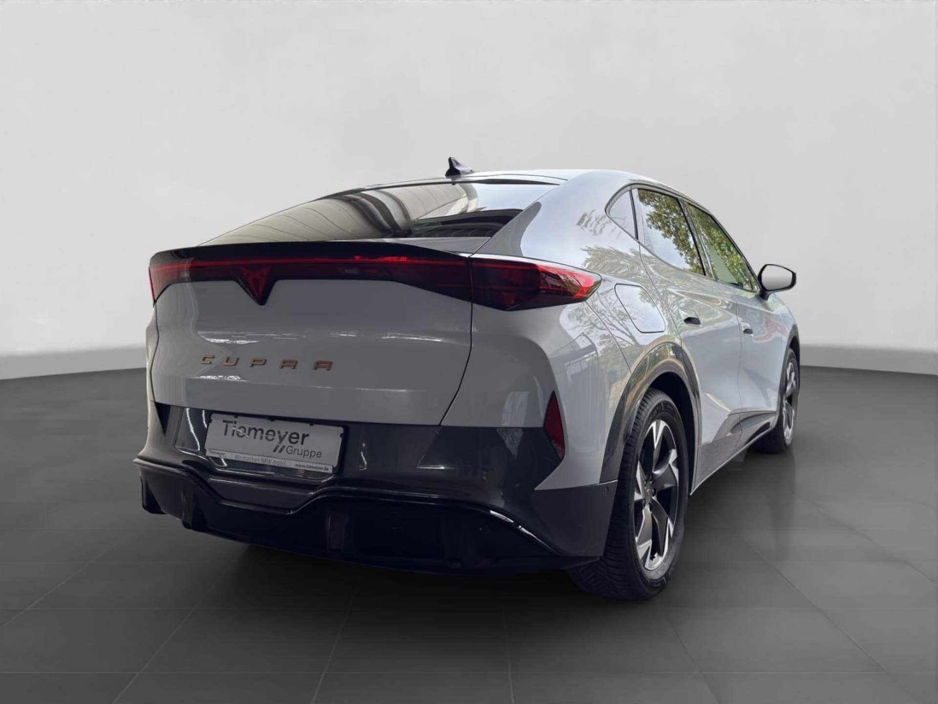 CUPRA Tavascan Endurance
