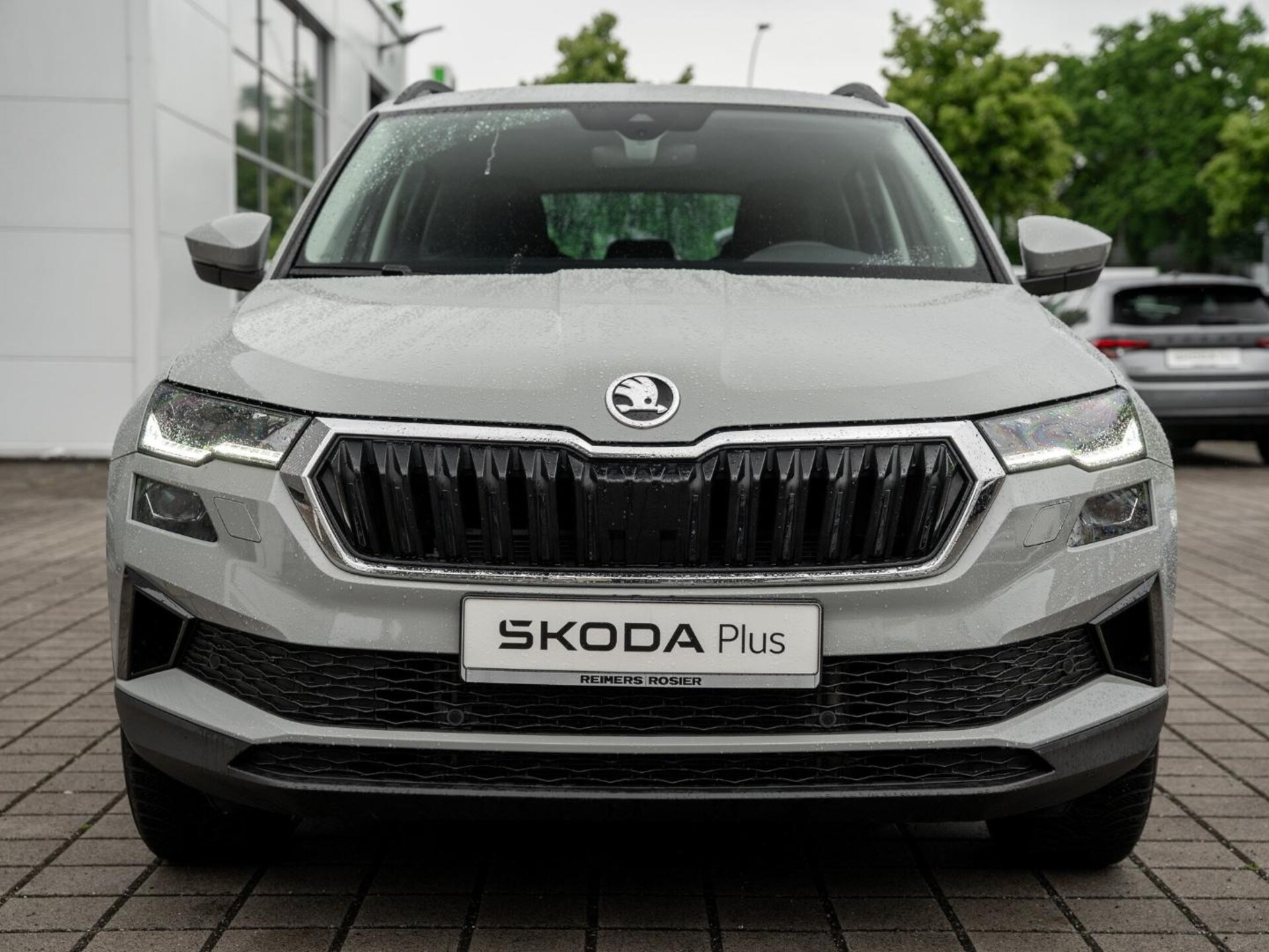 Skoda Karoq Selection