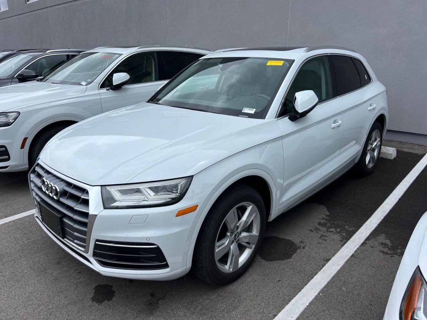 2019 Audi Q5 2.0T quattro S tronic Premium Plus's photo