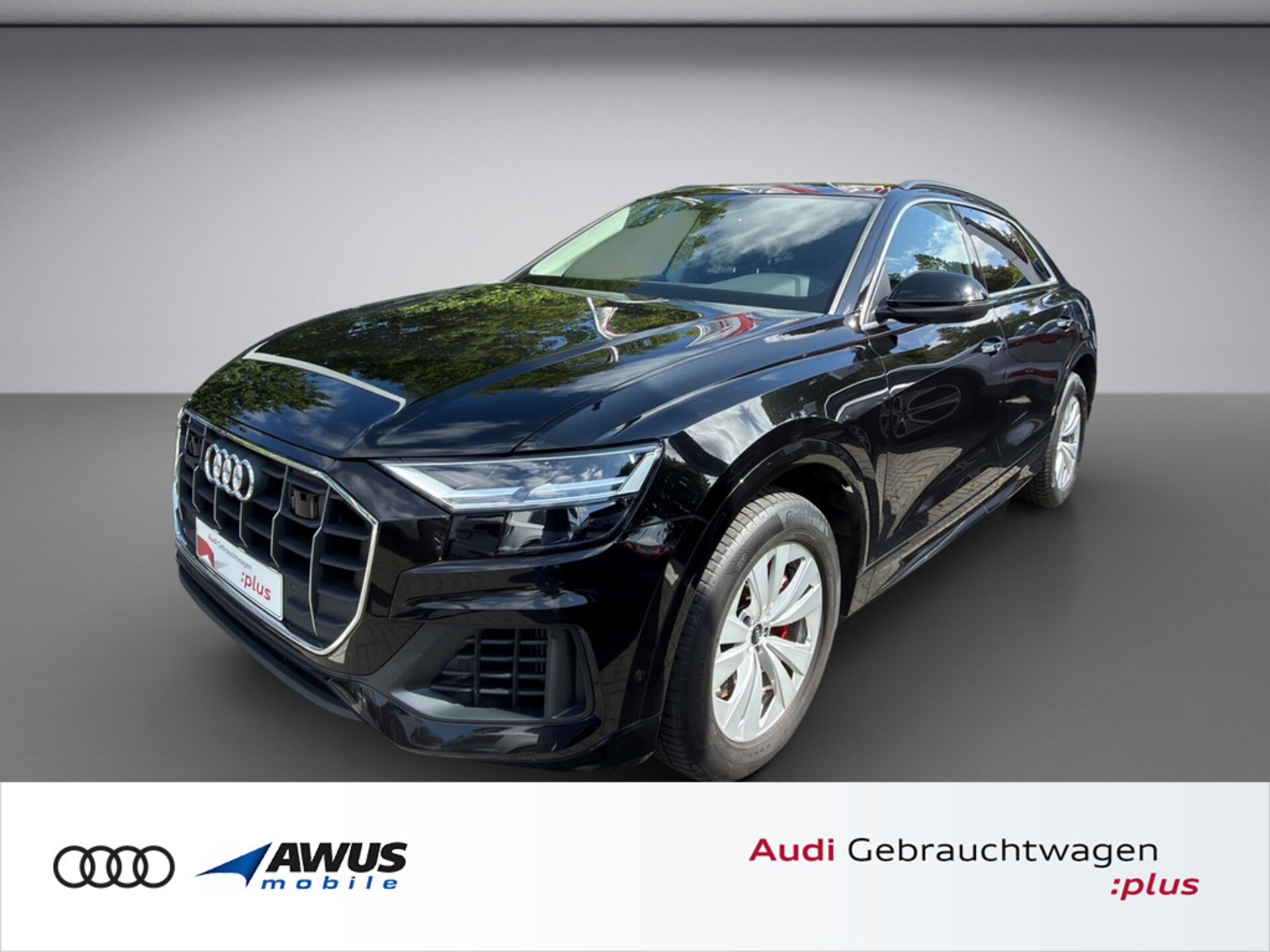 Audi Q8 SUV TFSI e
