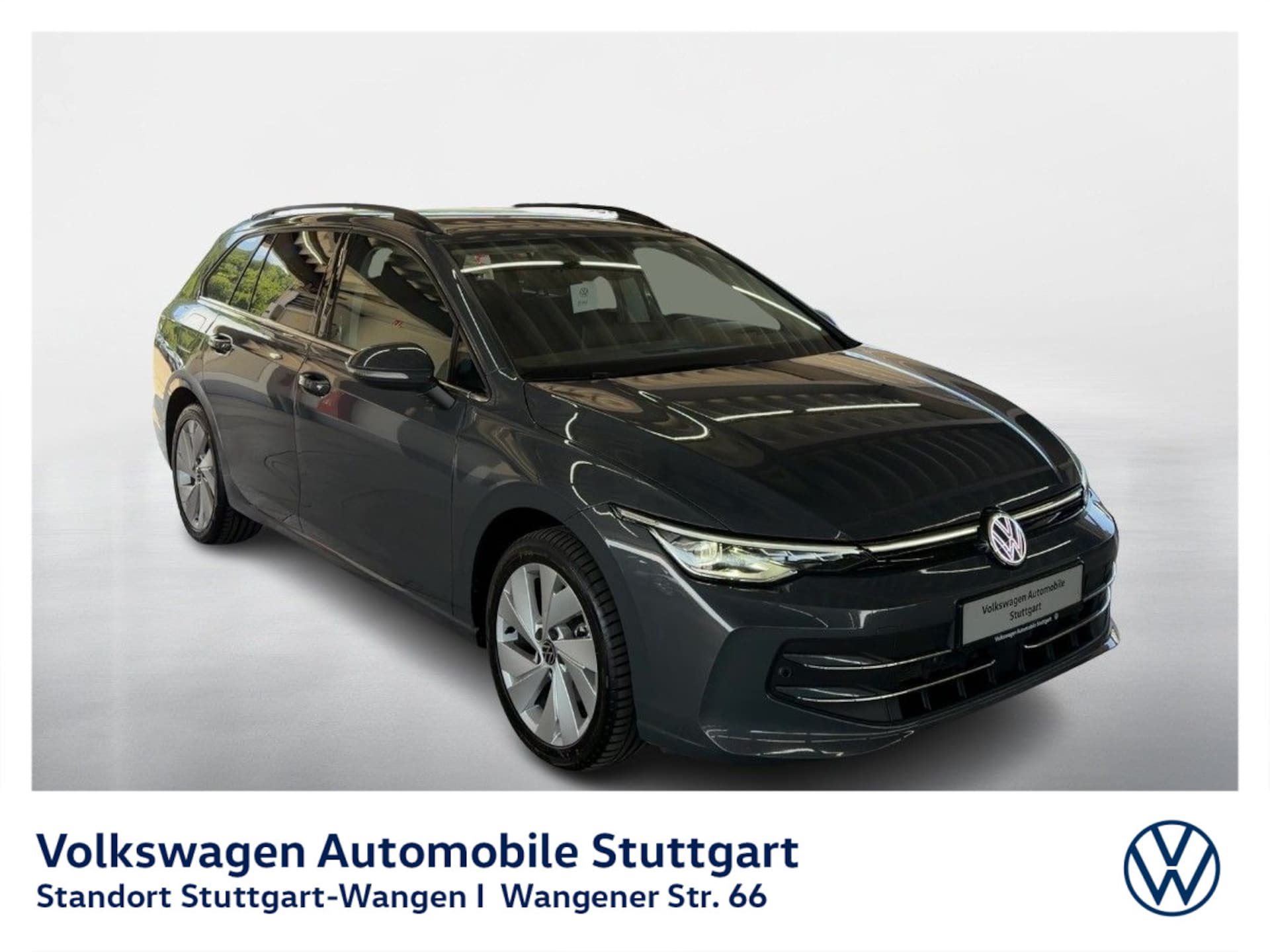 Volkswagen Golf Variant Style