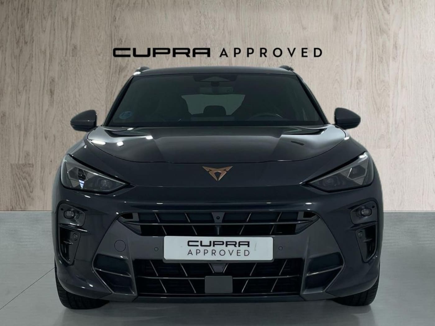 CUPRA Terramar 1.5 eTSI DSG 110 kW (150 CV) — photo 12