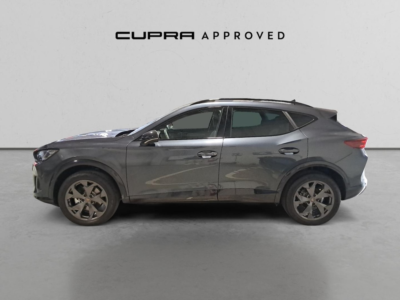 CUPRA Formentor 1.5 eTSI DSG 110 kW (150 CV) — photo 15
