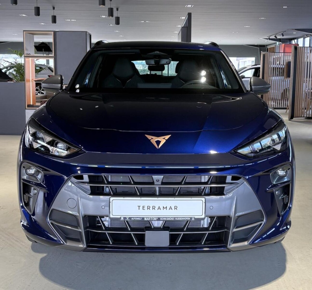 CUPRA Terramar – Bild 2