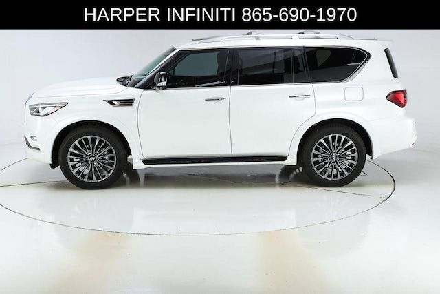 2024 Infiniti QX80