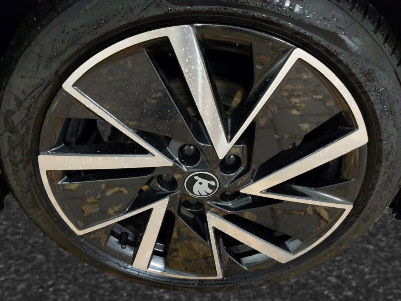 Škoda Octavia Combi – Bild 7