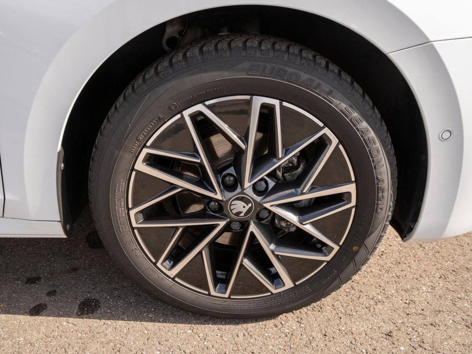 Škoda Octavia Combi – Bild 10