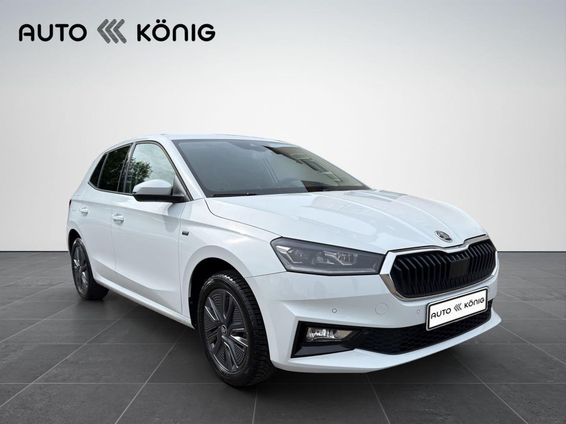 Skoda Fabia Tour