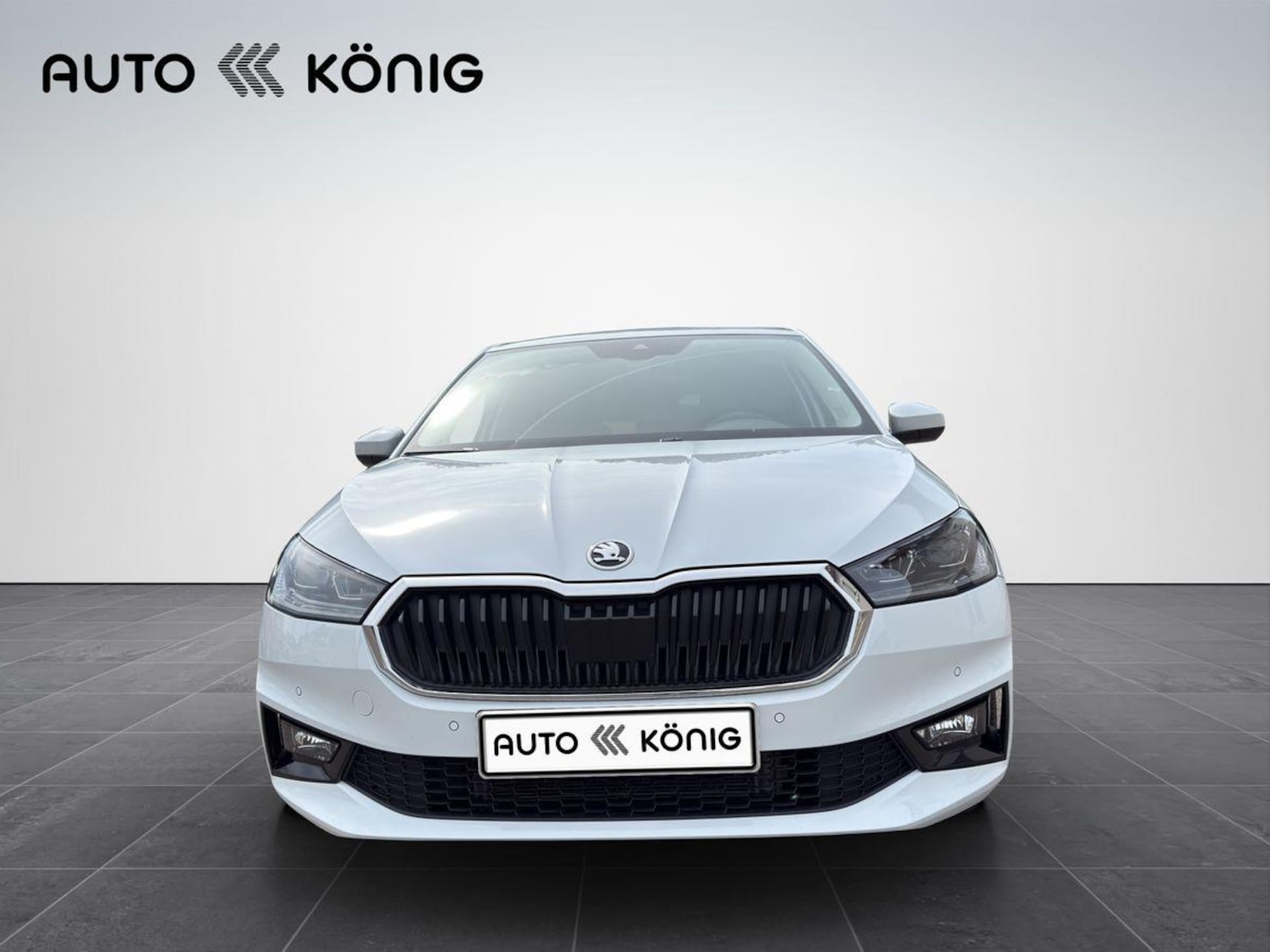 Skoda Fabia Tour