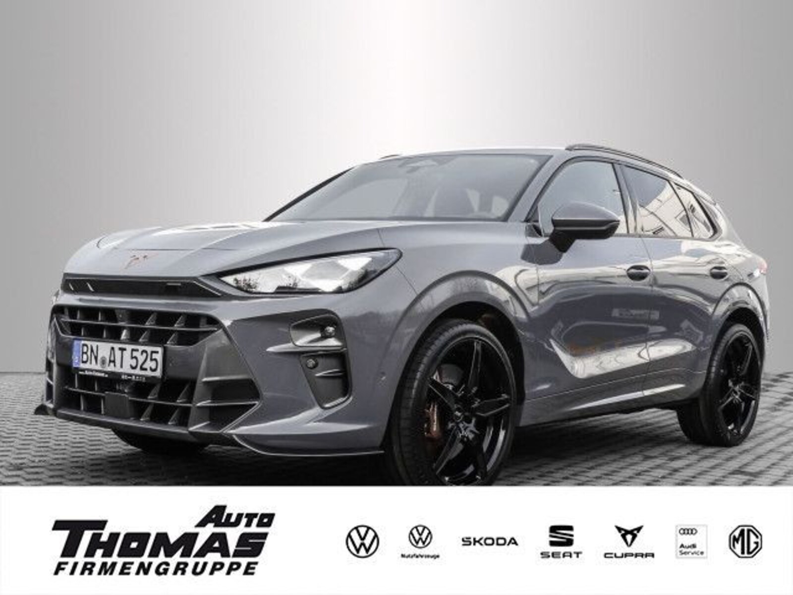 CUPRA Terramar – Bild 2