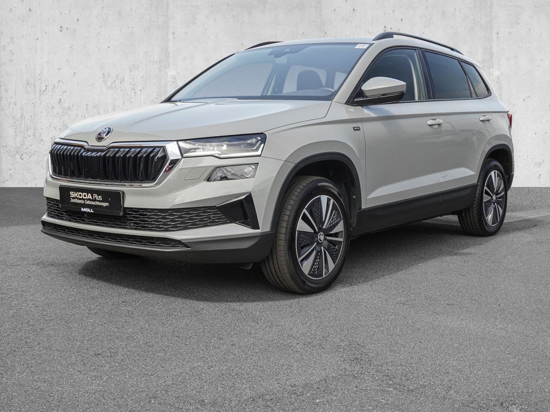 Skoda Karoq Selection