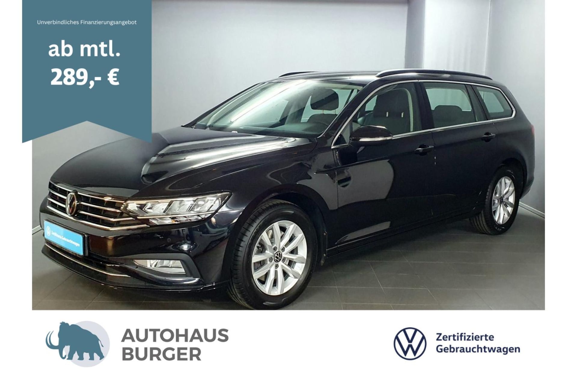 Volkswagen Passat Variant Business