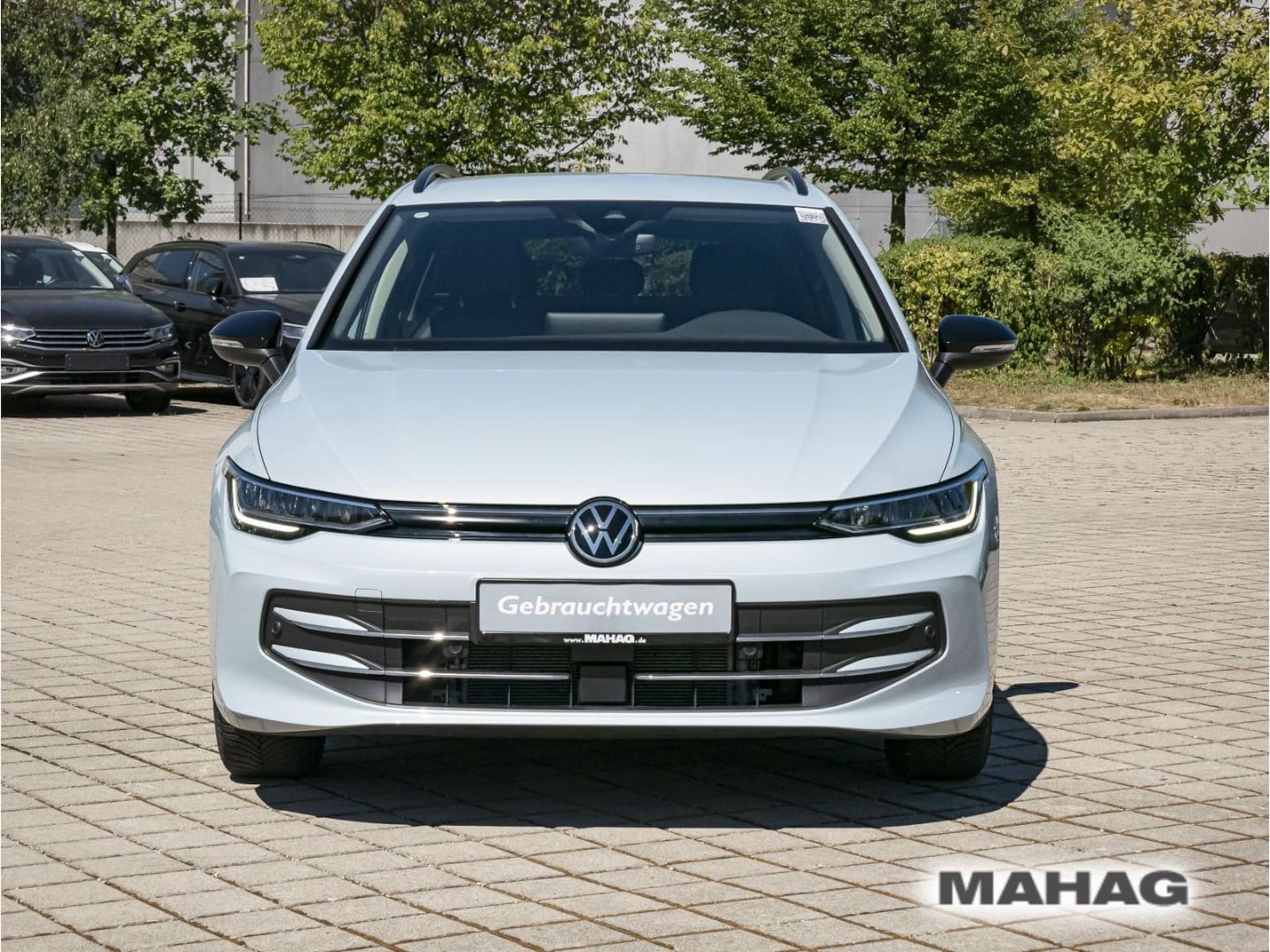 Volkswagen Golf Variant Goal
