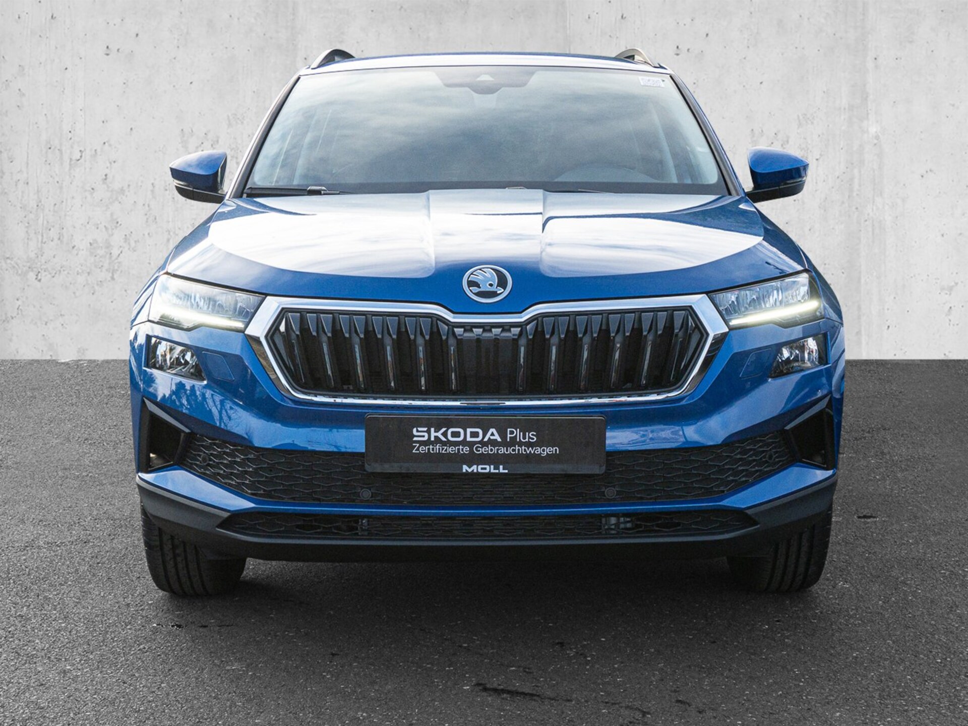 Skoda Karoq 130