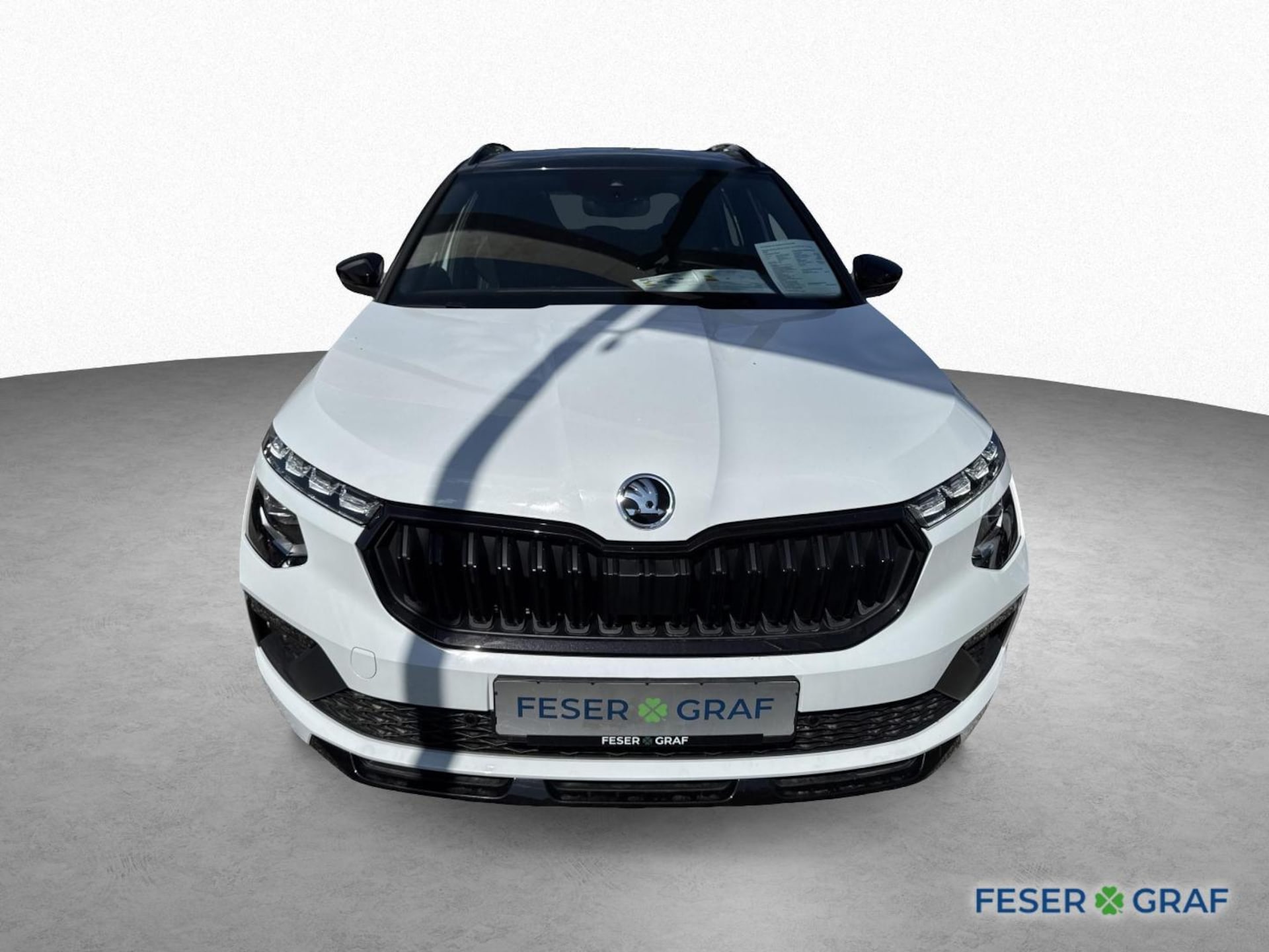Skoda Kamiq Monte Carlo