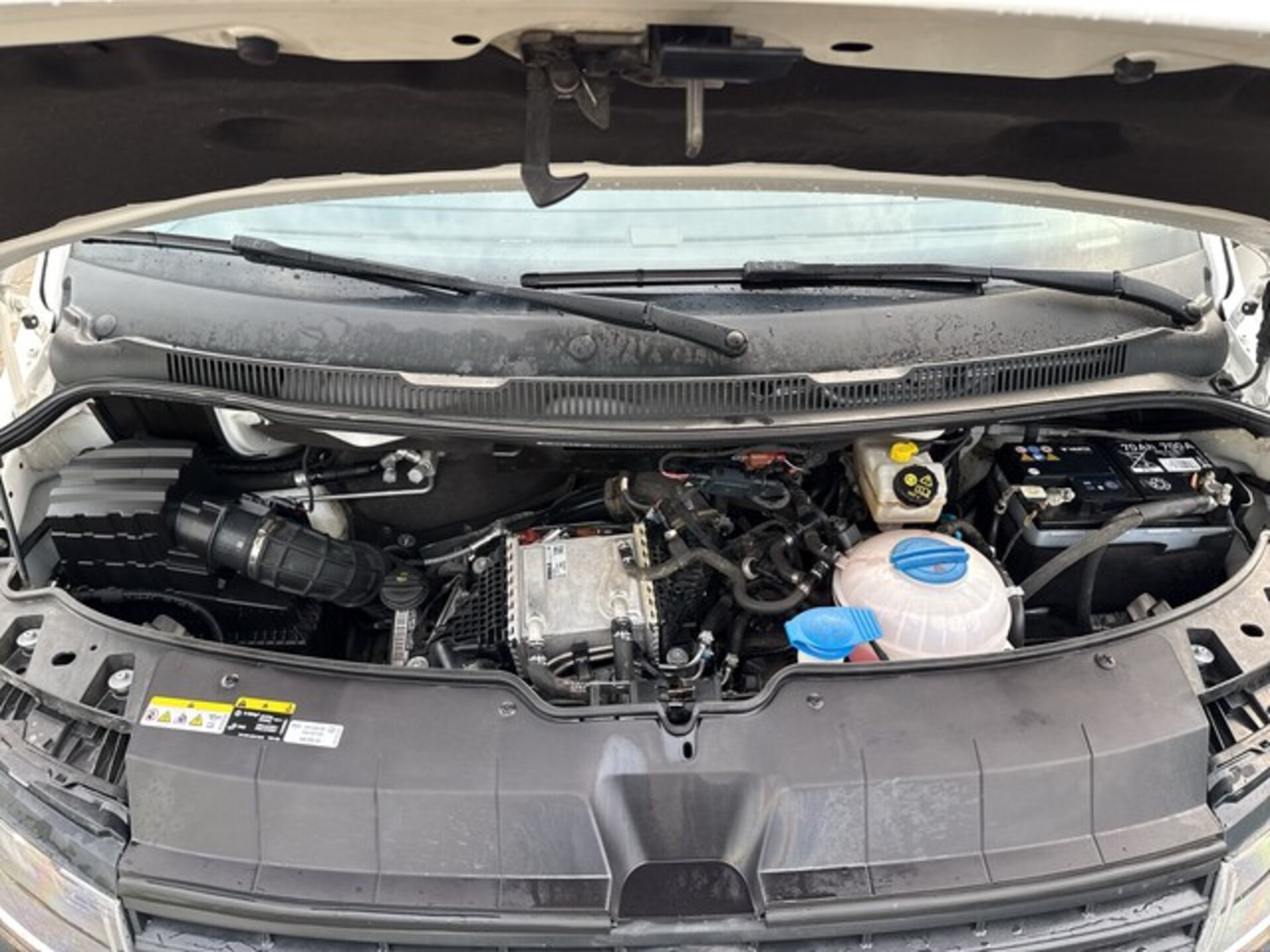 Volkswagen T6.1 Transporter Kasten kurzer Radstand