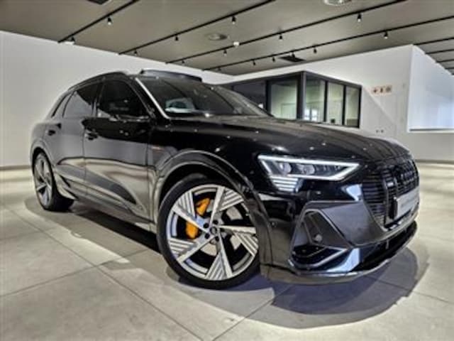 Image about Audi e-tron 55 S line quattro 300,00 kW