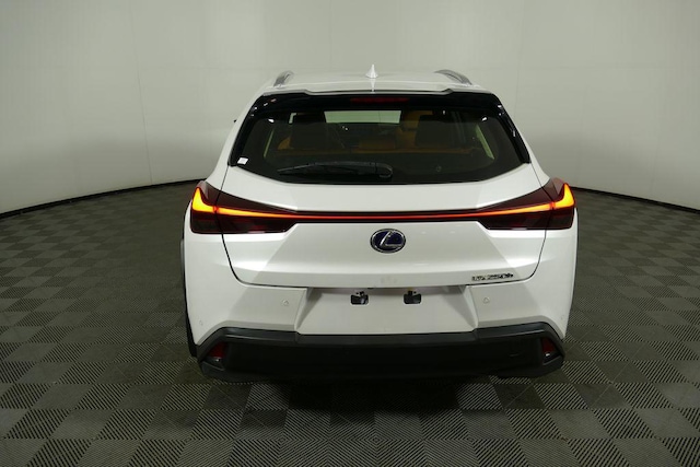 2019 Lexus UX 250h