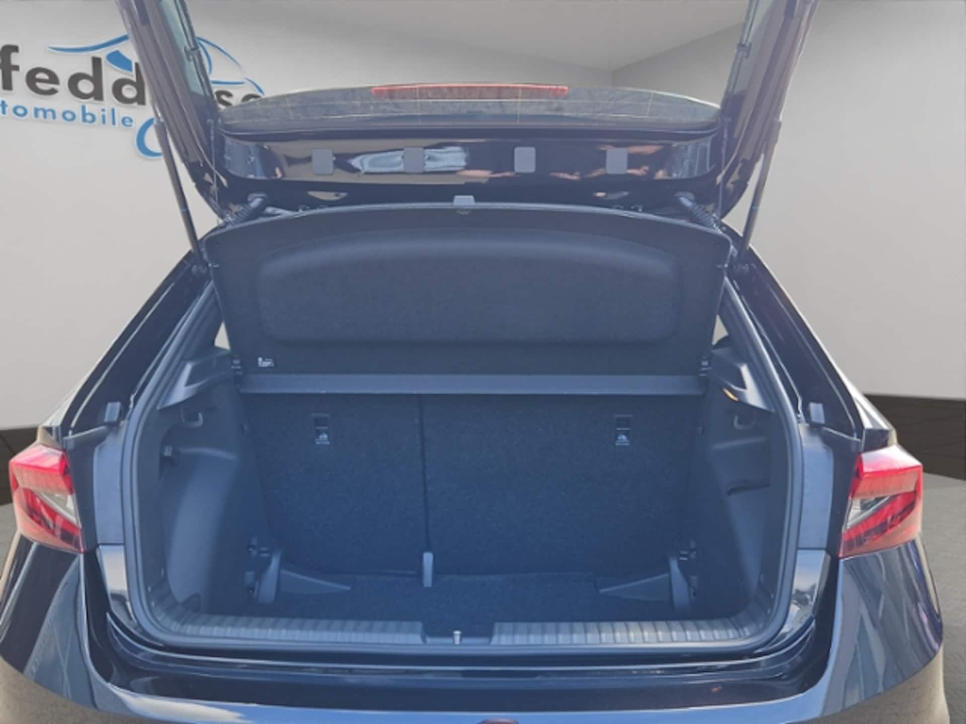 Skoda Fabia Monte Carlo