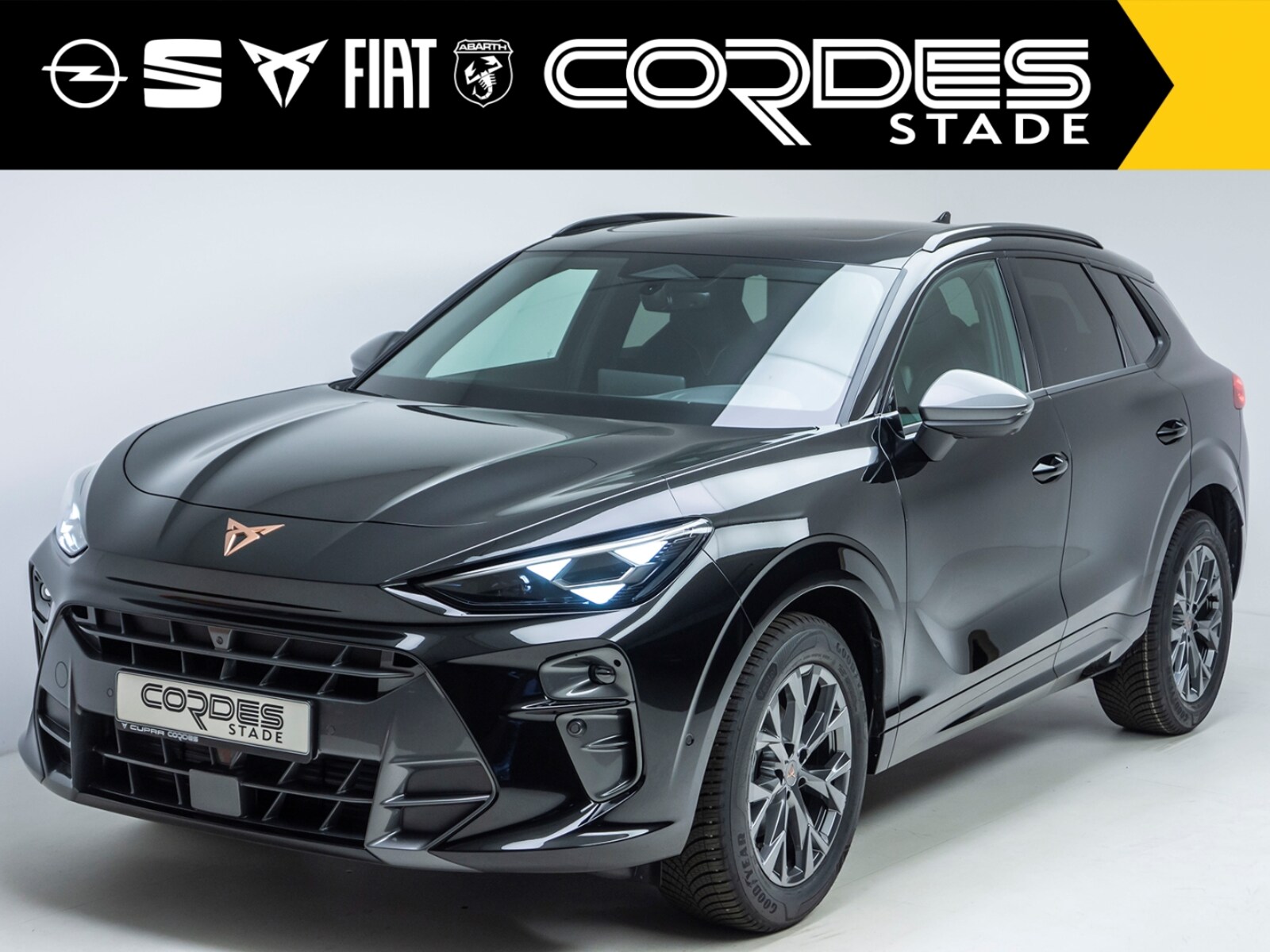 CUPRA Terramar – Bild 2