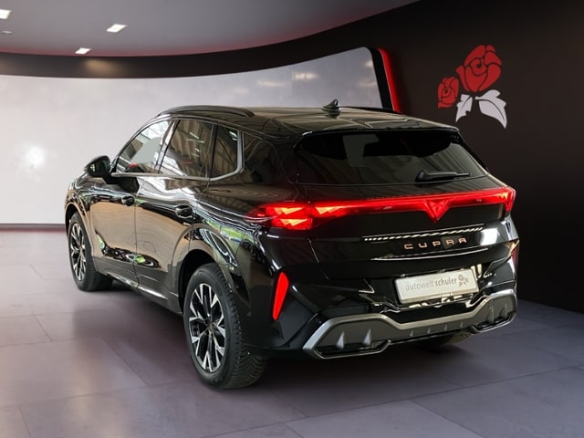 Bild des Autos 4