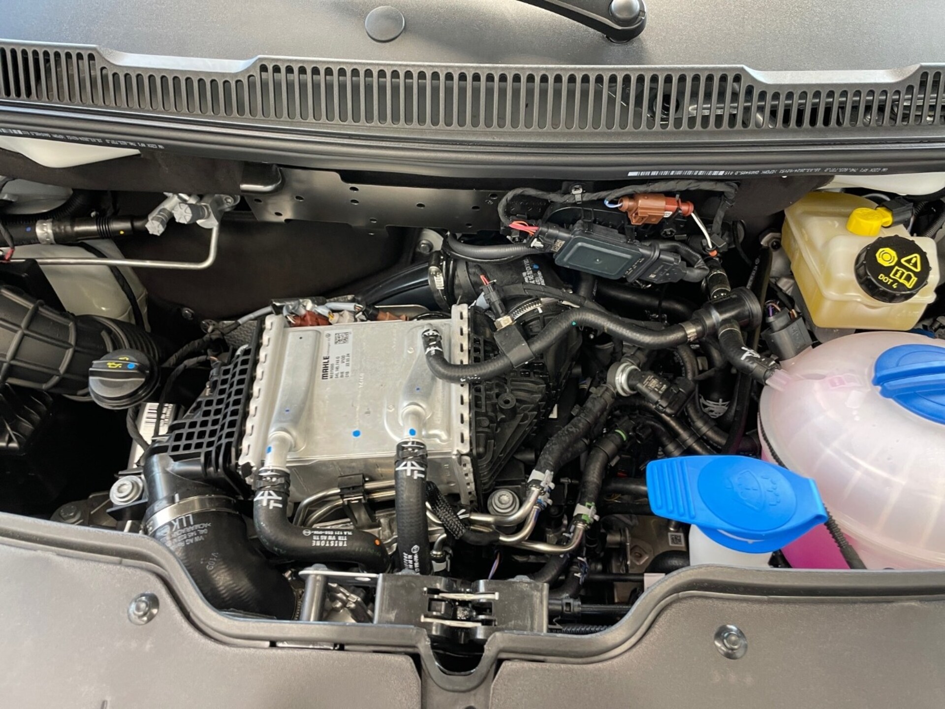 Volkswagen T6.1 Transporter Kasten kurzer Radstand