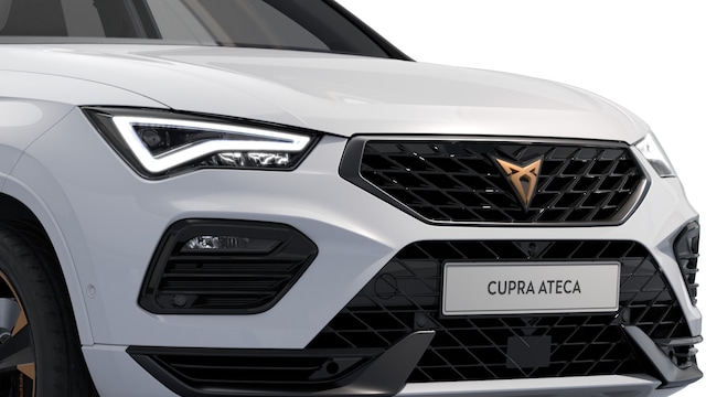 Bild des Autos 8