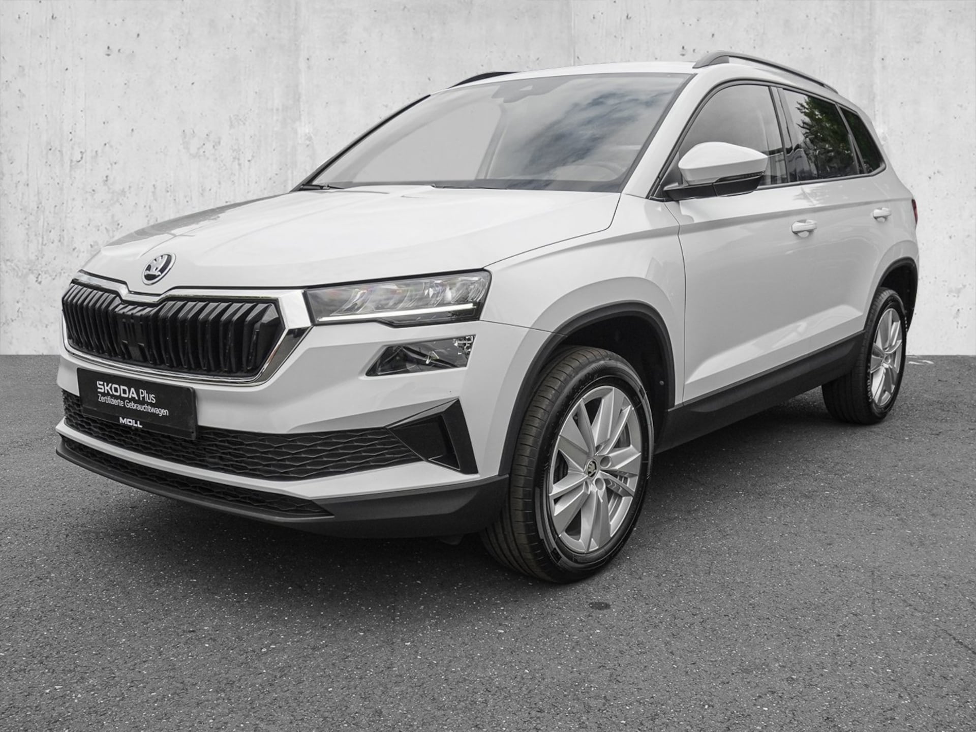 Skoda Karoq Selection
