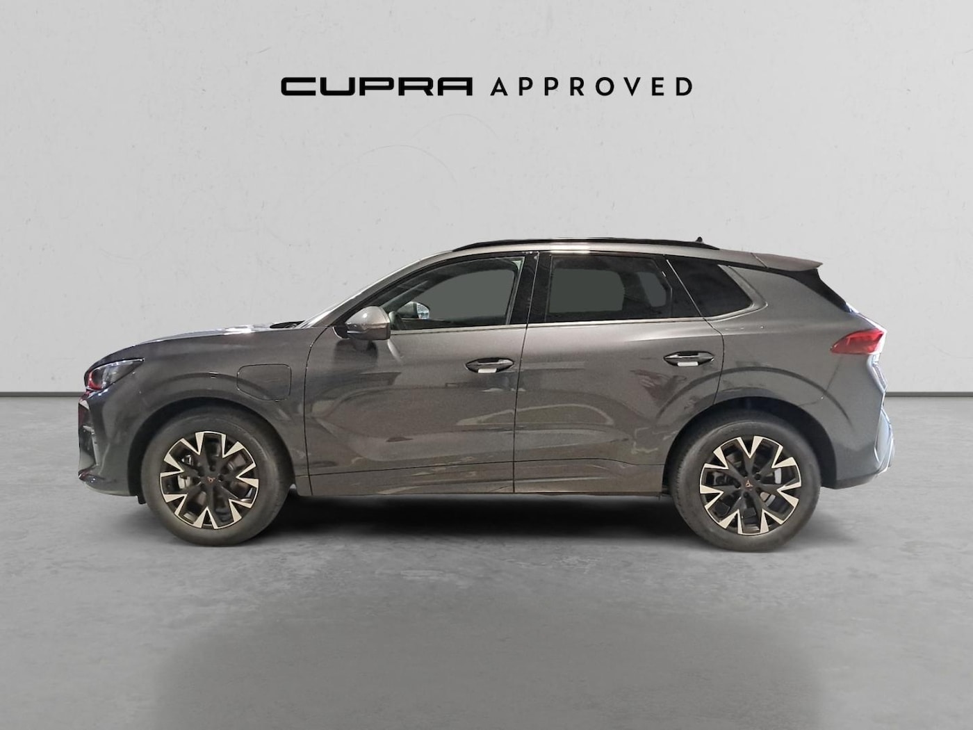 CUPRA Terramar 1.5 eTSI DSG 110 kW (150 CV) — photo 15