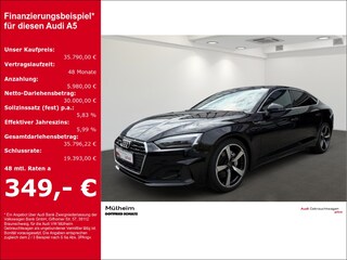 erstes Vorschaubild