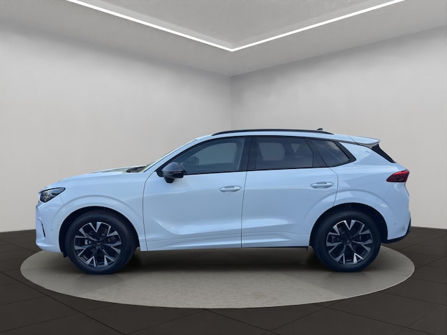 Bild des Autos 2