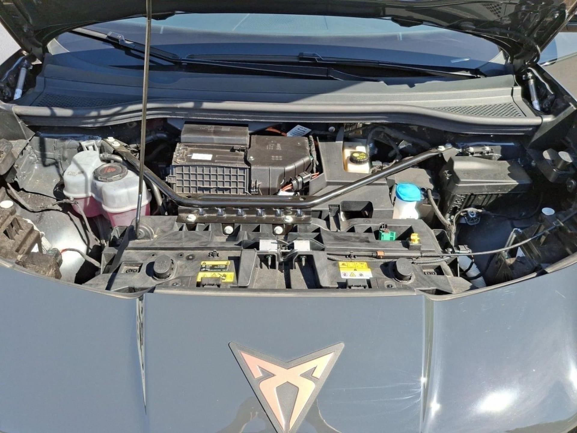 CUPRA Tavascan Endurance