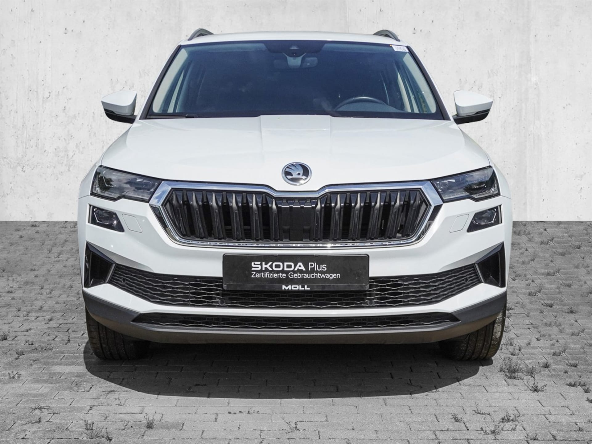Skoda Karoq Style