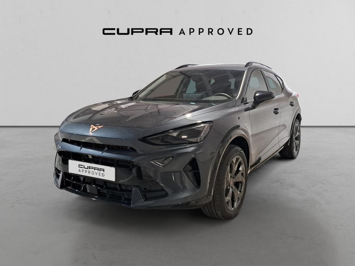 CUPRA Formentor 1.5 eTSI DSG 110 kW (150 CV) — photo 13