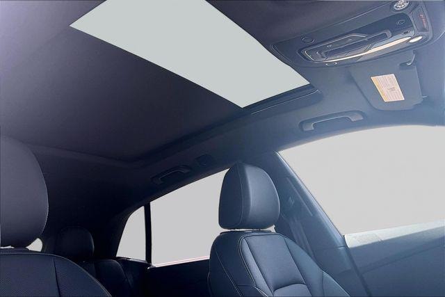 2026 Audi Q8 Premium Plus - Photo 17