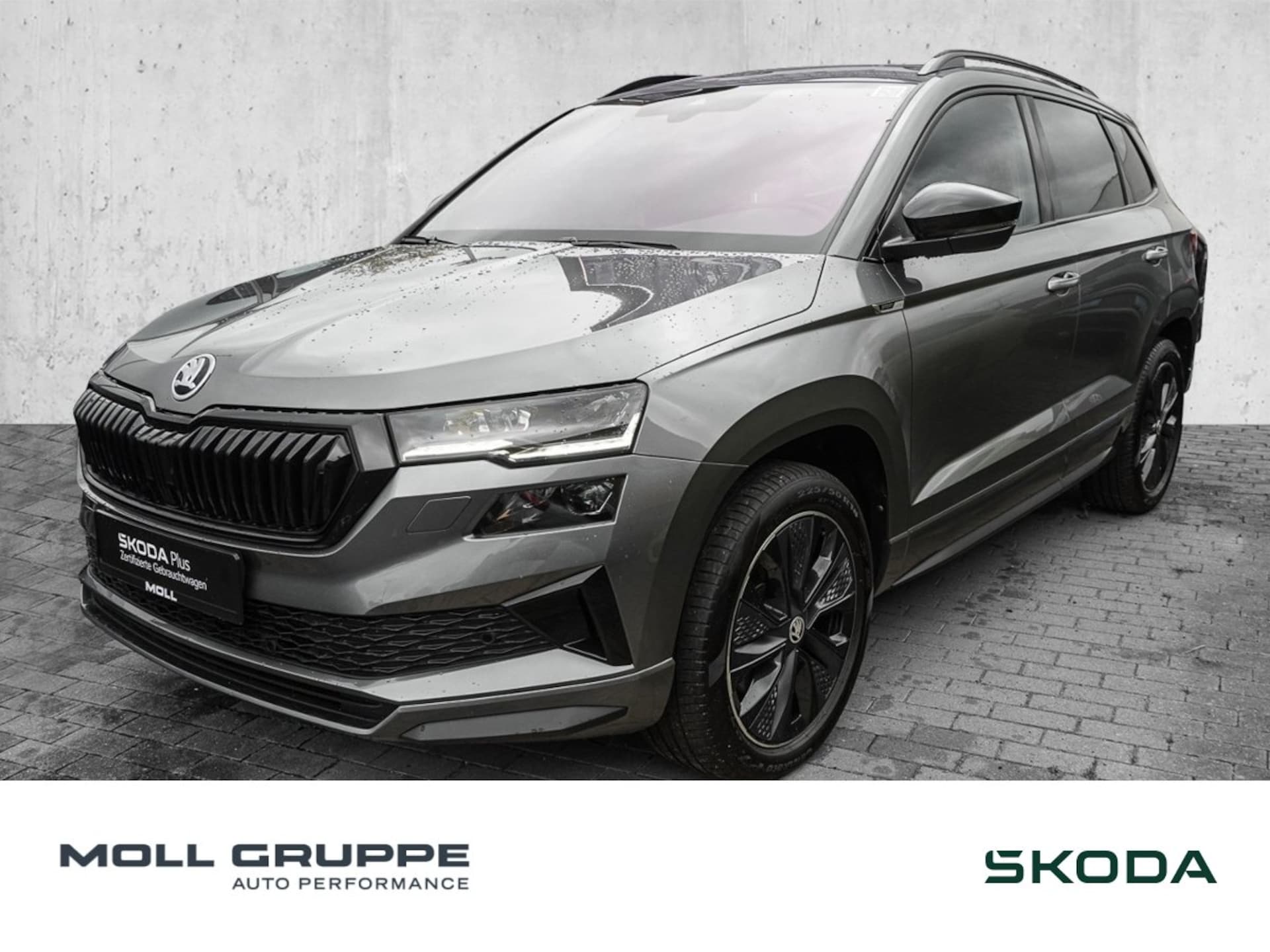 Skoda Karoq 2024