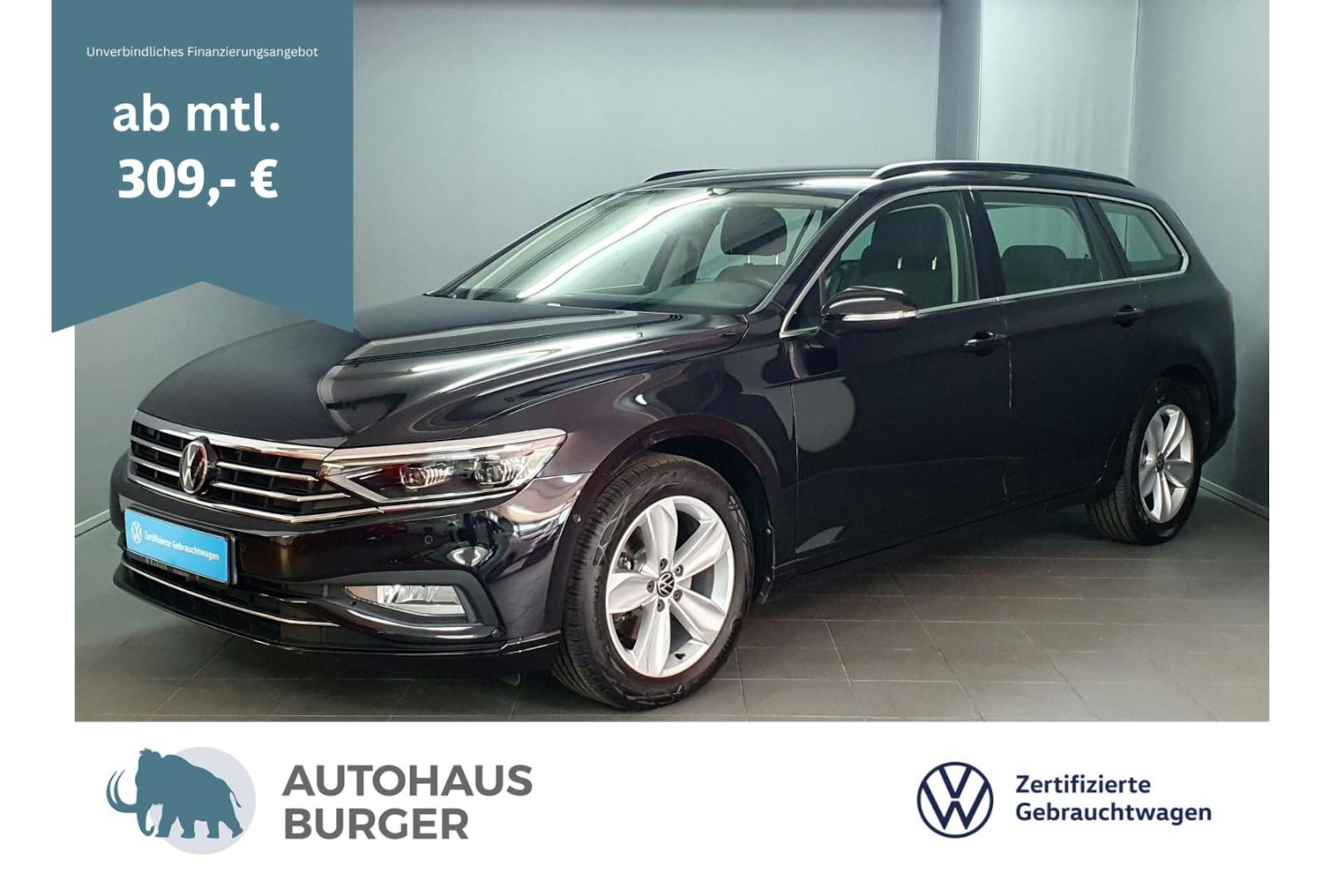 Volkswagen Passat Variant Business